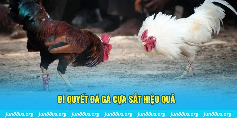 f88 bet xổ số miền bắc thứ ba hàng tuần