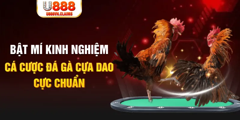 f88 bet casino hồ tràm có cho người việt vào không