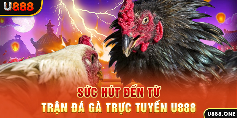 f88 bet đăng nhập poker 2024