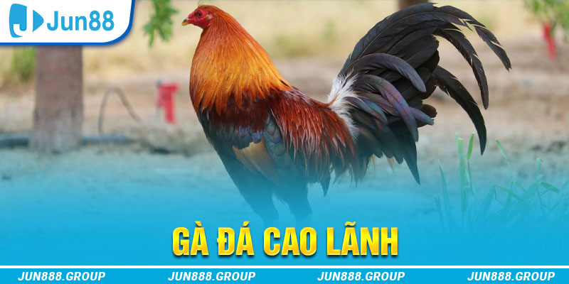 f88 bet tai game vua bai ve may tinh