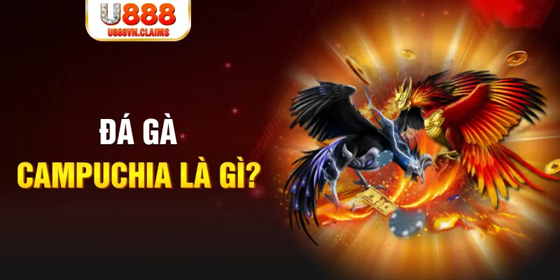 f88 bet what is the best online casino for real money
