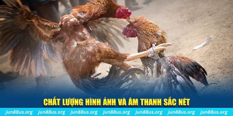f88 bet tai game danh bai mien phi ve may tinh