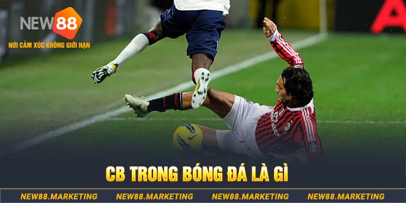 f88 bet DG Trực Tuyến