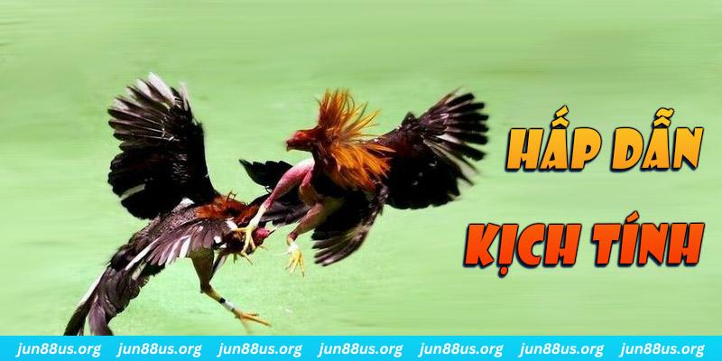 f88 bet xổ số miền nam thứ sáu