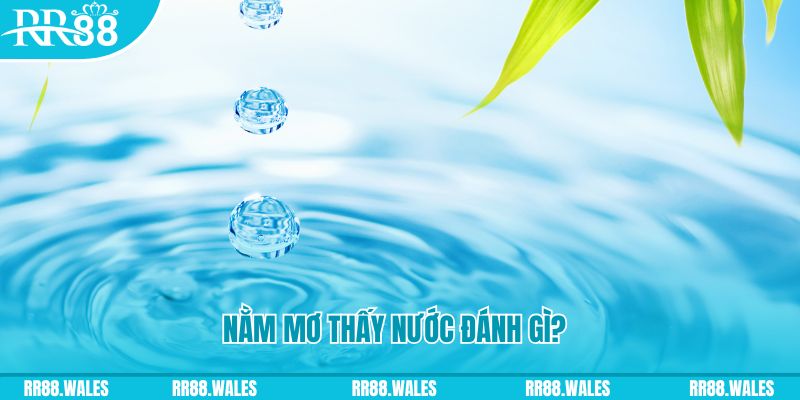 f88 bet xổ số trực tiếp miền bắc