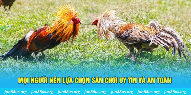 f88 bet đăng nhập poker 2025