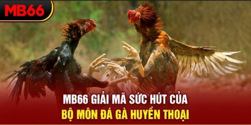 f88 bet xổ số đài bắc
