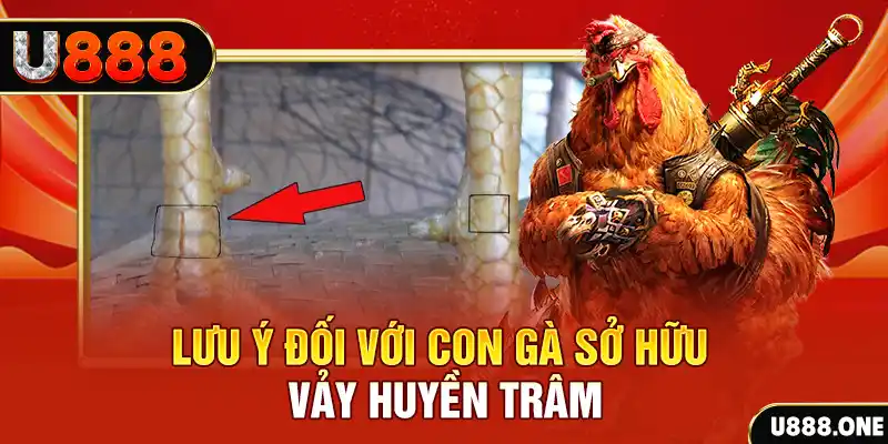 f88 bet tải game đánh bài tiến lên miền nam về máy tính