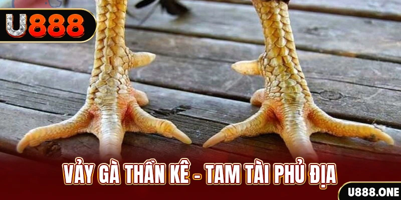 f88 bet so xo mien trung
