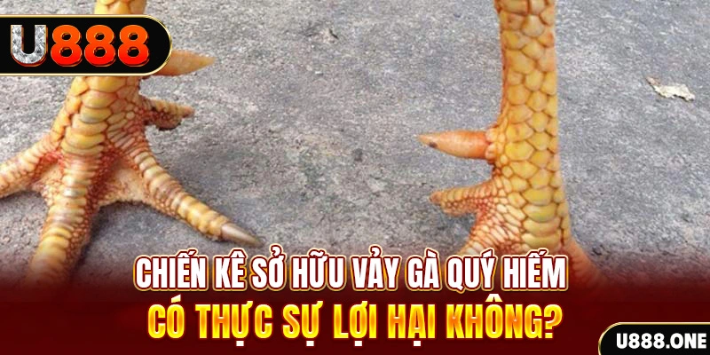 f88 bet xổ số miền trung