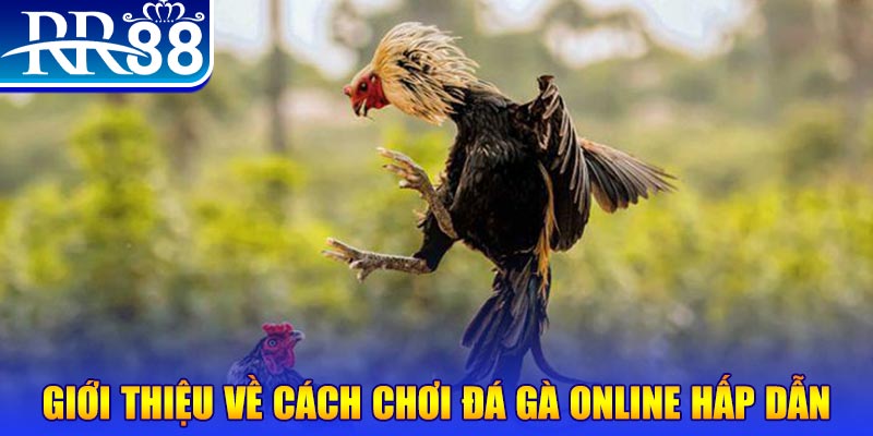 f88 bet EvoPlay Điện Tử