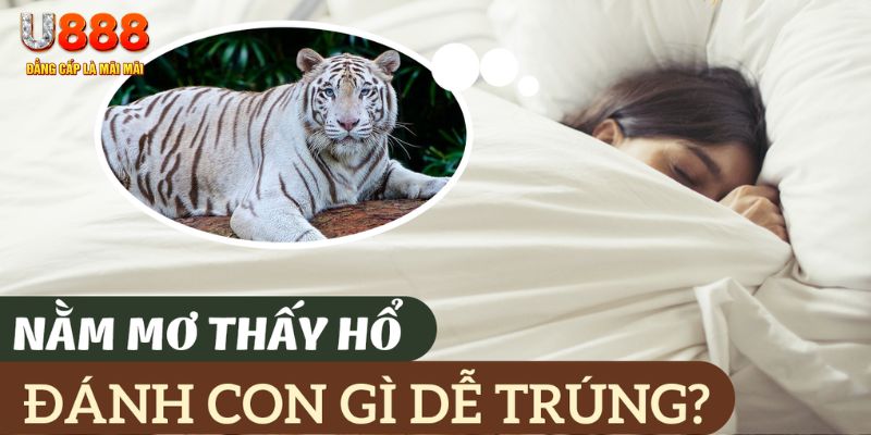 f88 bet nohu .mx nổ hủ là gì