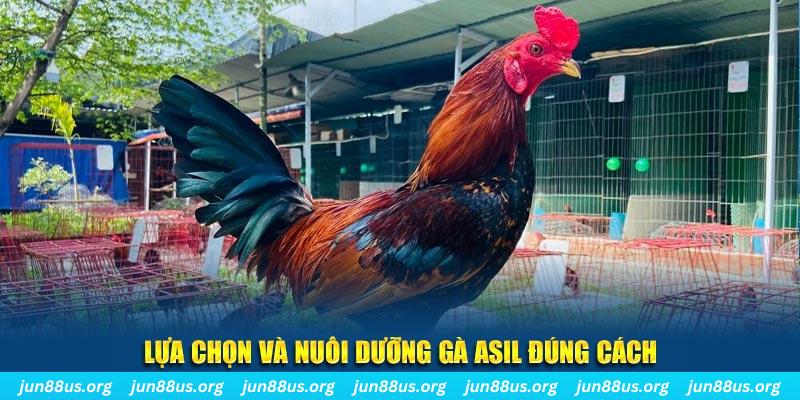 f88 bet nổ hũ thần tài là gì