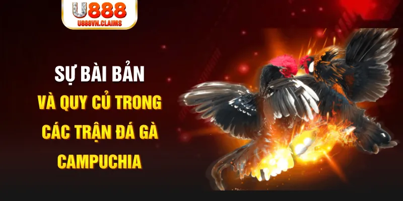 f88 bet game xếp bài trên máy tính