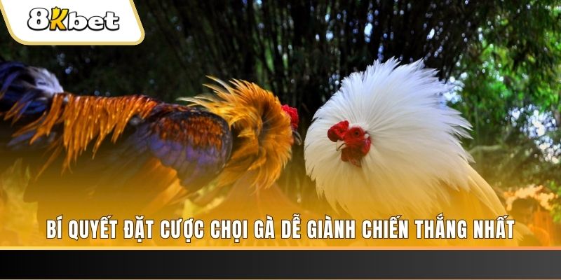 f88 bet nổ hũ chơi như thế nào
