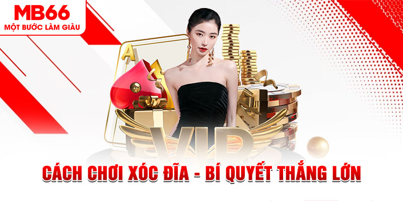 f88 bet Đĩa màu ace