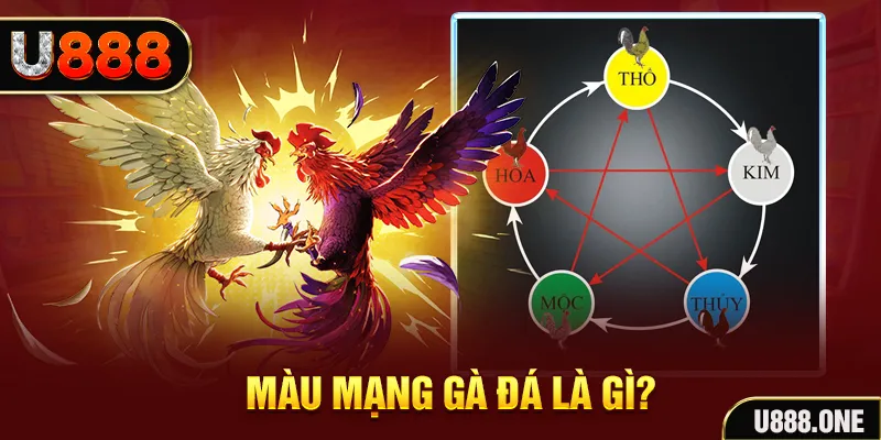 f88 bet V8 Game Bài 3d