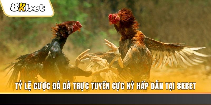 f88 bet xổ số miền bắc chủ nhật