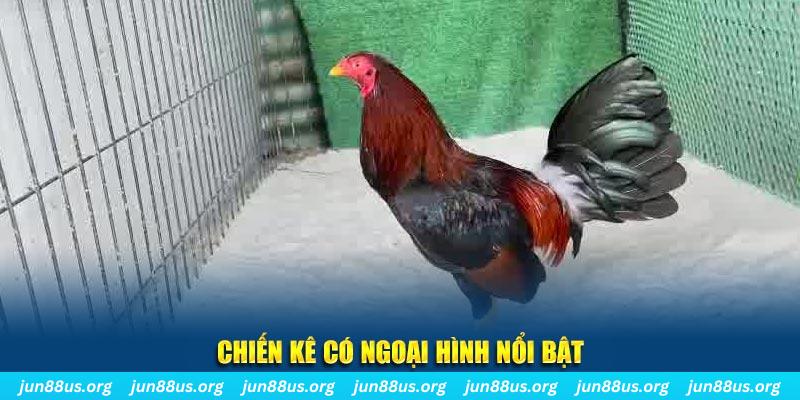 f88 bet qq88 bắn cá
