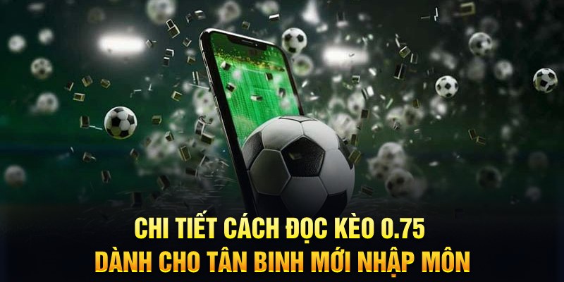 f88 bet Xì tố