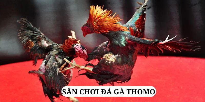 f88 bet quay nổ hũ là gì