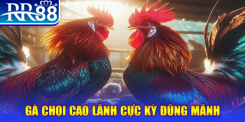 f88 bet đăng nhập poker live