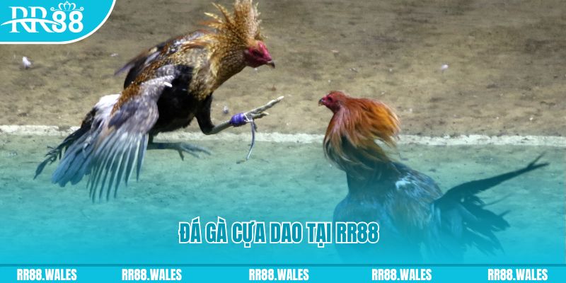 f88 bet xổ số bình thuận